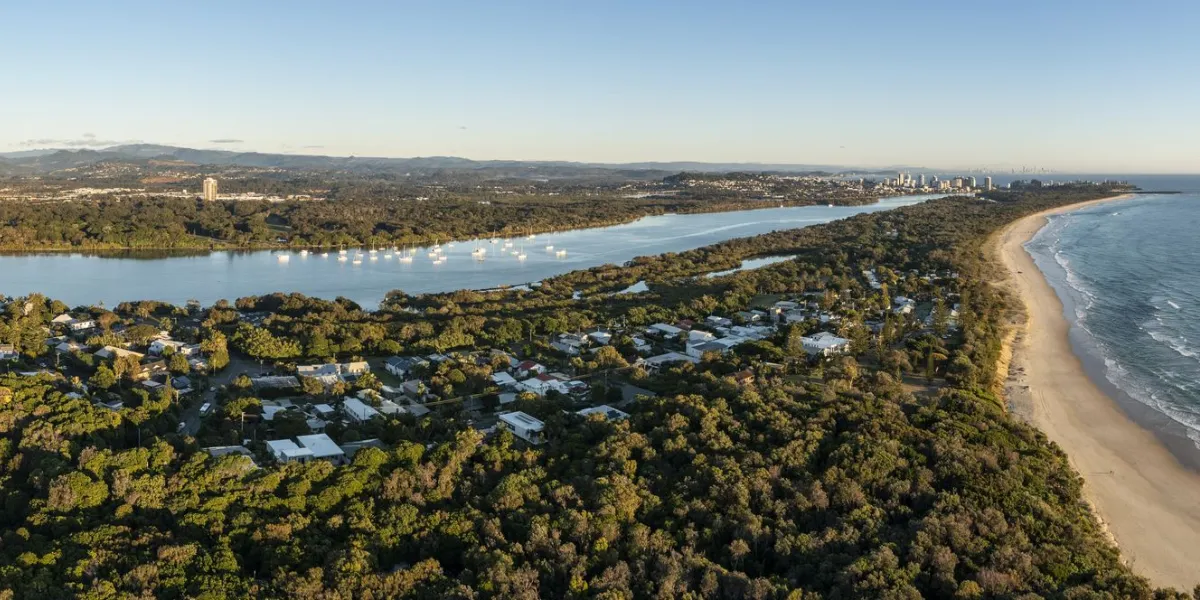 Aerial view of a beach and forest
