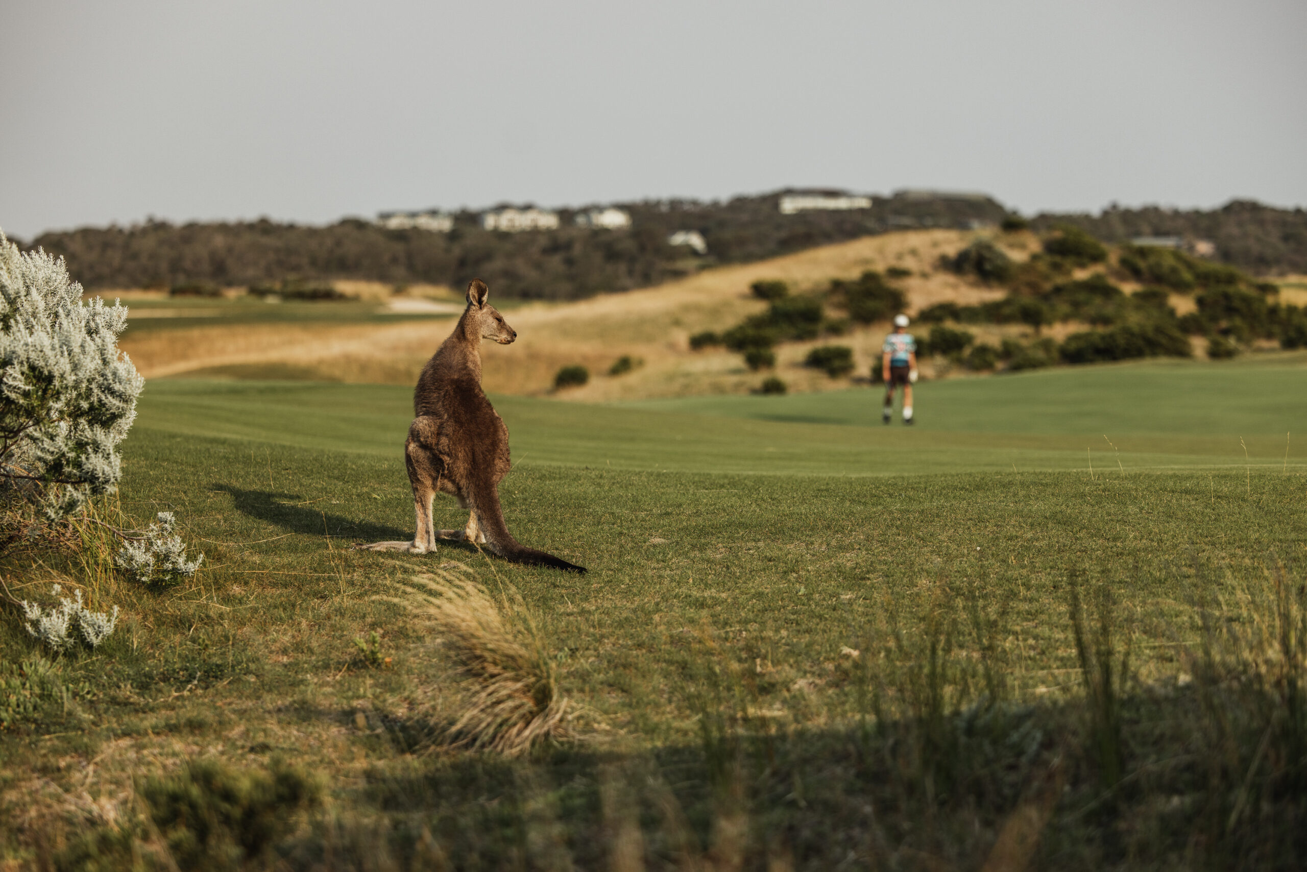 Gunnamatta fairway at sunrise